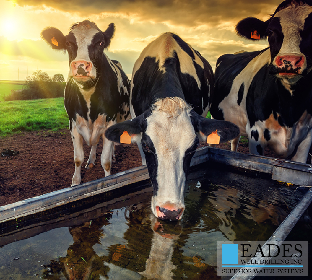 EADES WELL DRILLING AGRICULTURAL WATER SYSTEMS FOR LIVESTOCK