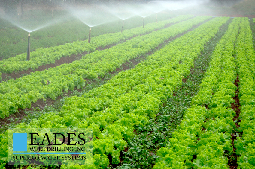 EADES WELL DRILLING AGRICULTURAL WELL WATER SYSTEMS LIVESTOCK IRRIGATION